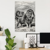 Vintage 1800er Lion Lionesse Big Cat Illustration Poster (Heimbüro)