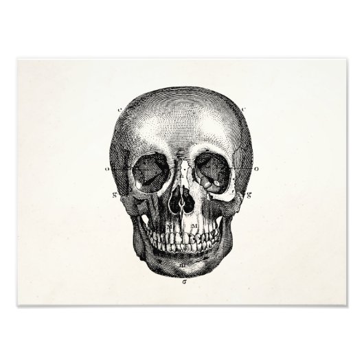 Vintage 1800er Skelettläufer Skelett Fotodruck (Vorne)