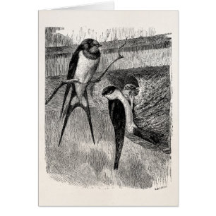 Vintage 1800s
