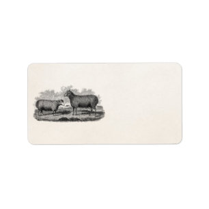 Vintage 1800s adressaufkleber
