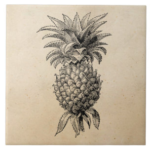 Vintage 1800s Ananas-Illustrations-Ananas Fliese