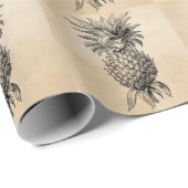 Vintage 1800s Ananas-Illustrations-Ananas Geschenkpapier (Rolleneckpunkt)