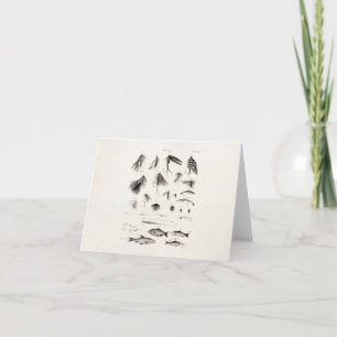 Vintage 1800s Angling Fly Fishing Flies Old Hooks Karte