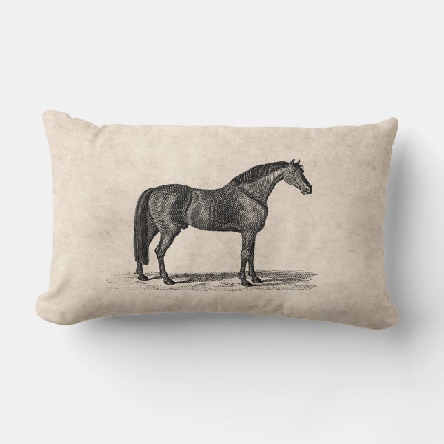 Vintage 1800s arabische Pferdeillustration - Lendenkissen (Vorderseite)