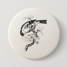 Vintage 1800s Bullfinch-Vogel-Illustration - Vögel Button