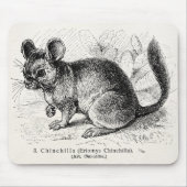 Vintage 1800s Chinchilla-Chinchilla-Illustration Mousepad (Vorne)