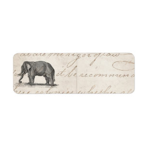 Vintage 1800s Elefant-Illustration - Elefanten