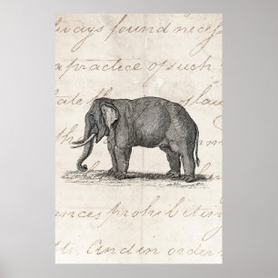 Vintage 1800s Elefant-Illustration - Elefanten Poster