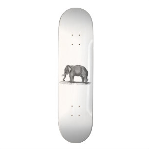 Vintage 1800s Elefant-Illustration - Elefanten Skateboard