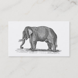 Vintage 1800s Elefant-Illustration - Elefanten Visitenkarte