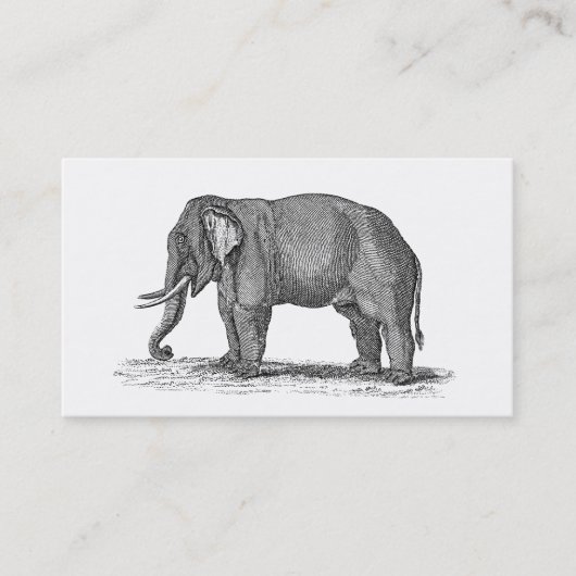 Vintage 1800s Elefant-Illustration - Elefanten Visitenkarte (Vorderseite)