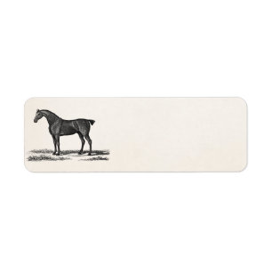 Vintage 1800s englische Jäger-Pferdejagd-Pferde