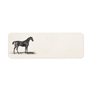 Vintage 1800s englisches Rennen-Pferd - laufende