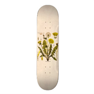Vintage 1800s färben den Löwenzahn gelb, der Skateboard