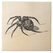 Vintage 1800s fliese (Vorderseite)