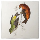 Vintage 1800s fliese (Vorderseite)