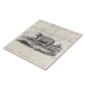 Vintage 1800s fliese (Seite)