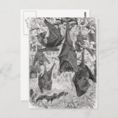 Vintage 1800s Flying Fox Bat Retro Template Postkarte (Vorne/Hinten)