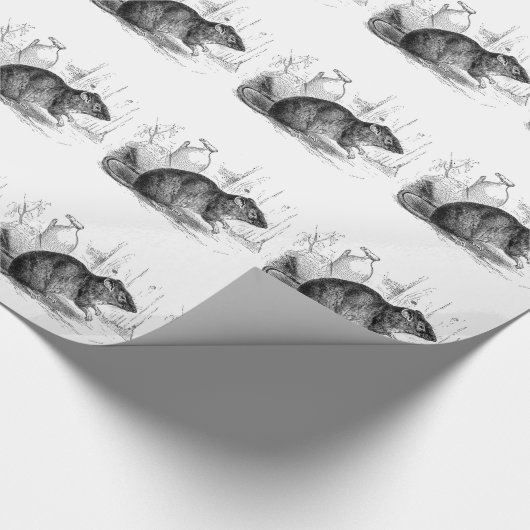 Vintage 1800s geschenkpapier (Ecke)