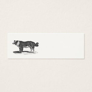Vintage 1800s Grenzcollie-Hundeillustration