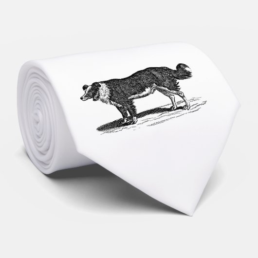 Vintage 1800s Grenzcollie-Hundeillustration Krawatte (Gerollt)