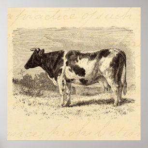 Vintage 1800s große niederländische Kuh-Retro Kühe Poster