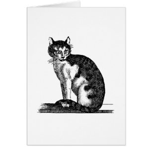 Vintage 1800s Haus-Katzen-Illustration - Katzen