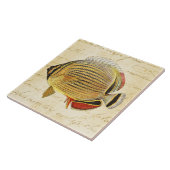 Vintage 1800s hawaiische fliese (Seite)