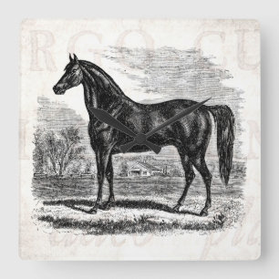 Vintage 1800s Horse - Morgan Equestrian Template Quadratische Wanduhr