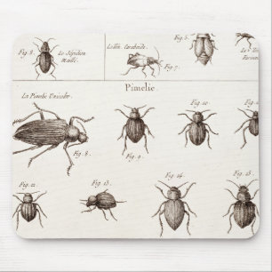 Vintage 1800s Insekten-Wanzen-Käfer-Illustration Mousepad