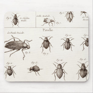 Vintage 1800s Insekten-Wanzen-Käfer-Illustration Mousepad
