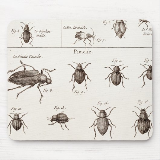 Vintage 1800s Insekten-Wanzen-Käfer-Illustration Mousepad (Vorne)