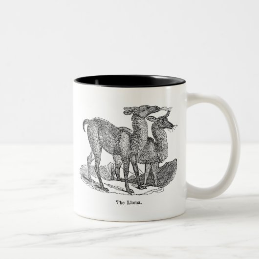 Vintage 1800s Lama-Illustrations-Lama-Schablone Zweifarbige Tasse (Rechts)