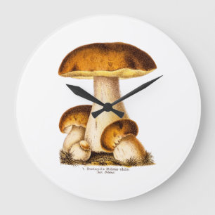 Vintage 1800s Mushroom Edible Mushrooms Template Große Wanduhr