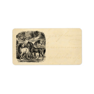 Vintage 1800s Pferdearabisches Wagen-Kosake-Pferd Adressaufkleber