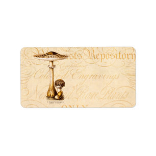 Vintage 1800s Pilz Agricus Pilz-Schablone Adressaufkleber