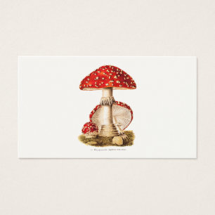 Vintage 1800s Pilz-Rot-Pilz-Schablone