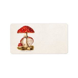 Vintage 1800s Pilz-Rot-Pilz-Schablone Adressaufkleber