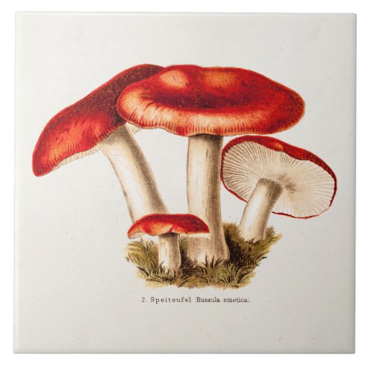 Vintage 1800s Pilz-Rot-Pilz-Schablone Fliese (Vorderseite)