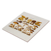 Vintage 1800s Pilz-Vielzahl-Pilz-Schablone Fliese (Seite)