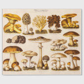 Vintage 1800s Pilz-Vielzahl-Pilz-Schablone Geschenkpapier (Flach)