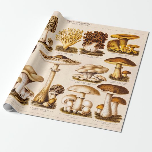 Vintage 1800s Pilz-Vielzahl-Pilz-Schablone Geschenkpapier (Ungerollt)