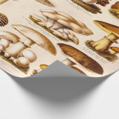 Vintage 1800s Pilz-Vielzahl-Pilz-Schablone Geschenkpapier (Ecke)