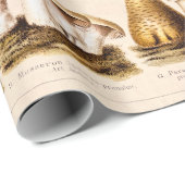 Vintage 1800s Pilz-Vielzahl-Pilz-Schablone Geschenkpapier (Rolleneckpunkt)