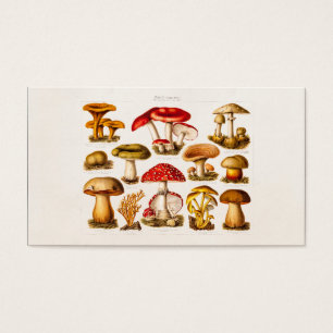 Vintage 1800s Pilz-Vielzahl-Rot-Pilze