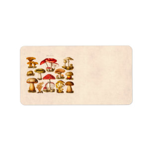 Vintage 1800s Pilz-Vielzahl-Rot-Pilze Adressaufkleber