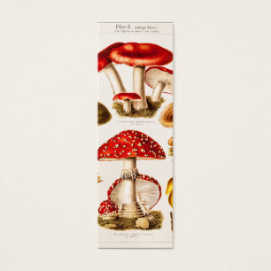 Vintage 1800s Pilz-Vielzahl-Schablone