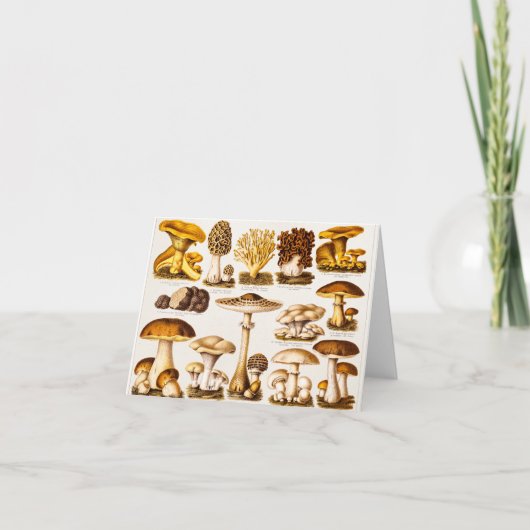 Vintage 1800s Pilz-Vielzahl-Schablone Karte (Vorderseite)