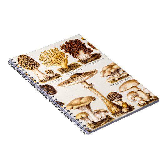 Vintage 1800s Pilz-Vielzahl-Schablone Notizblock (Rechte Seite)