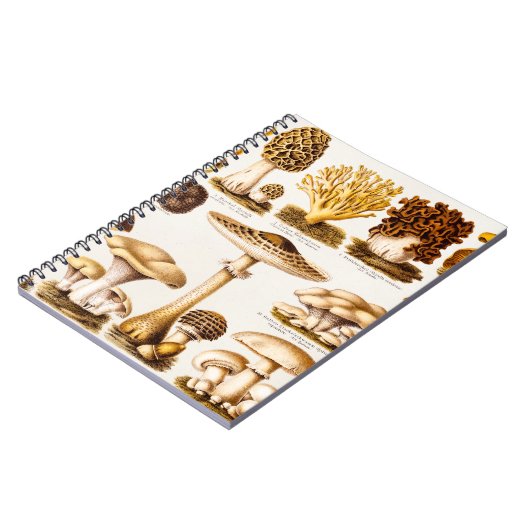 Vintage 1800s Pilz-Vielzahl-Schablone Notizblock (Linke Seite)